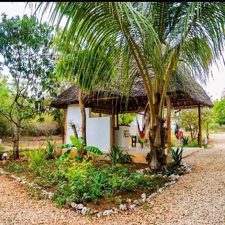 Jahazi Bed & Breakfast Nungwi Exterior foto