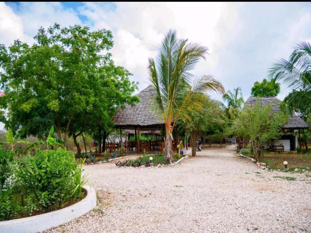 Jahazi Bed & Breakfast Nungwi Exterior foto