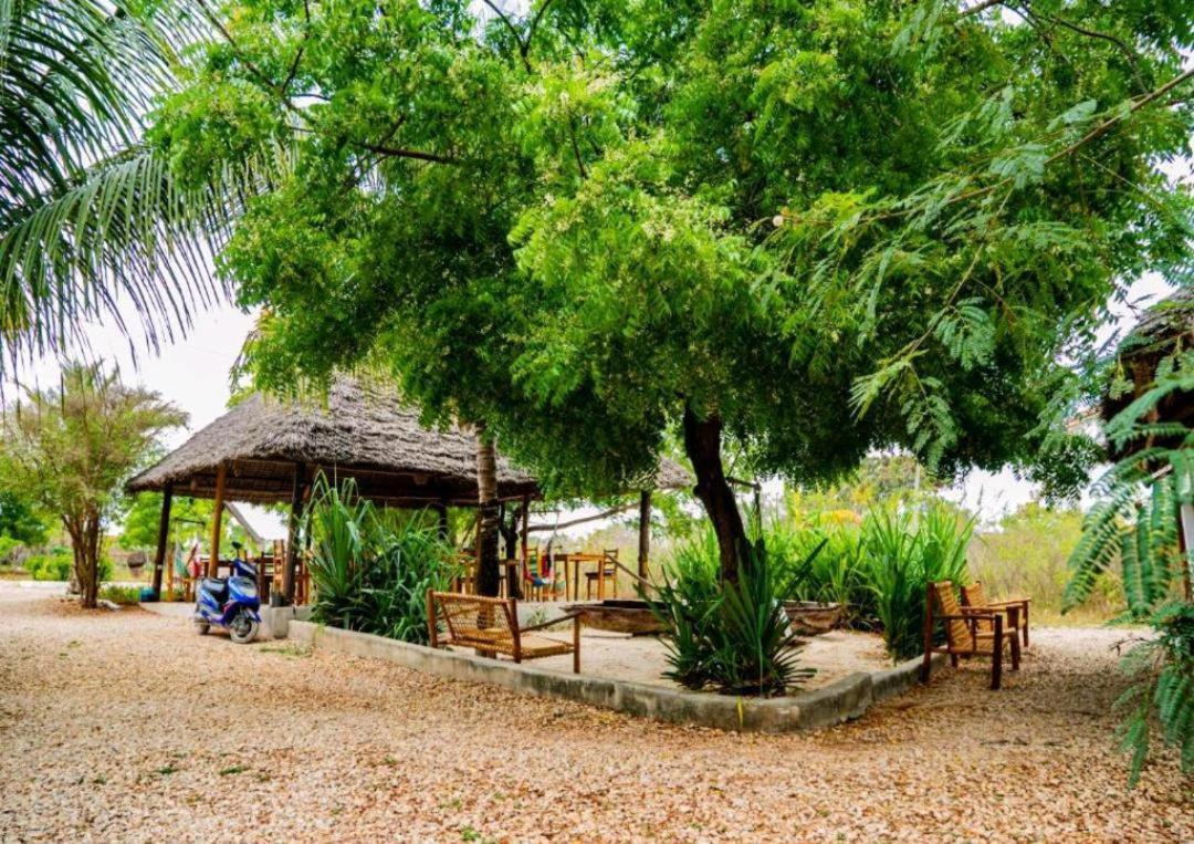 Jahazi Bed & Breakfast Nungwi Exterior foto
