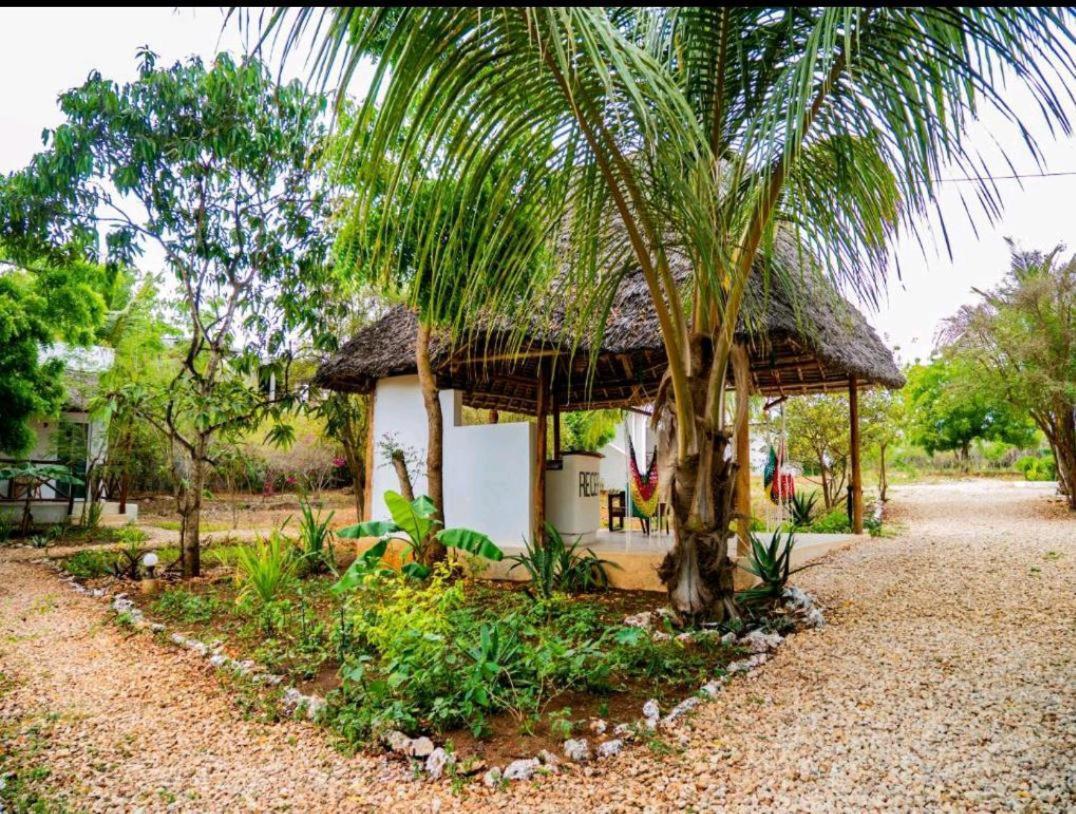 Jahazi Bed & Breakfast Nungwi Exterior foto